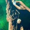 We Have Lost the Way - Image 4