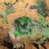 Green Euphoria - Image 12