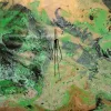 Green Euphoria - Image 7