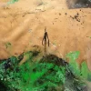 Green Euphoria - Image 13