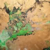 Green Euphoria - Image 5